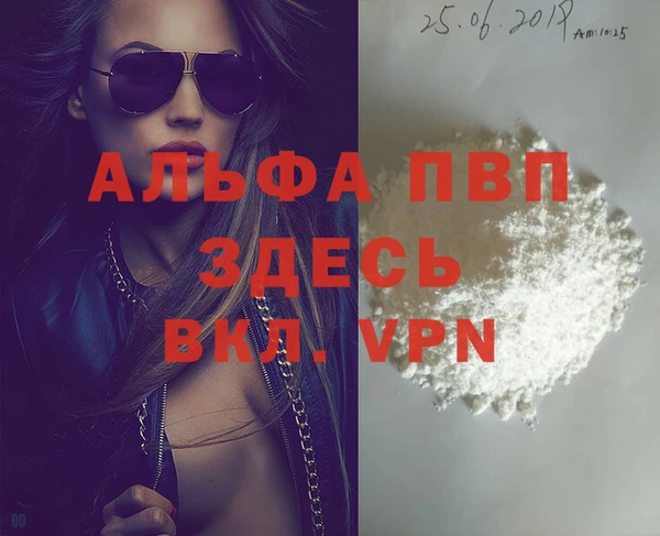 СК Надым